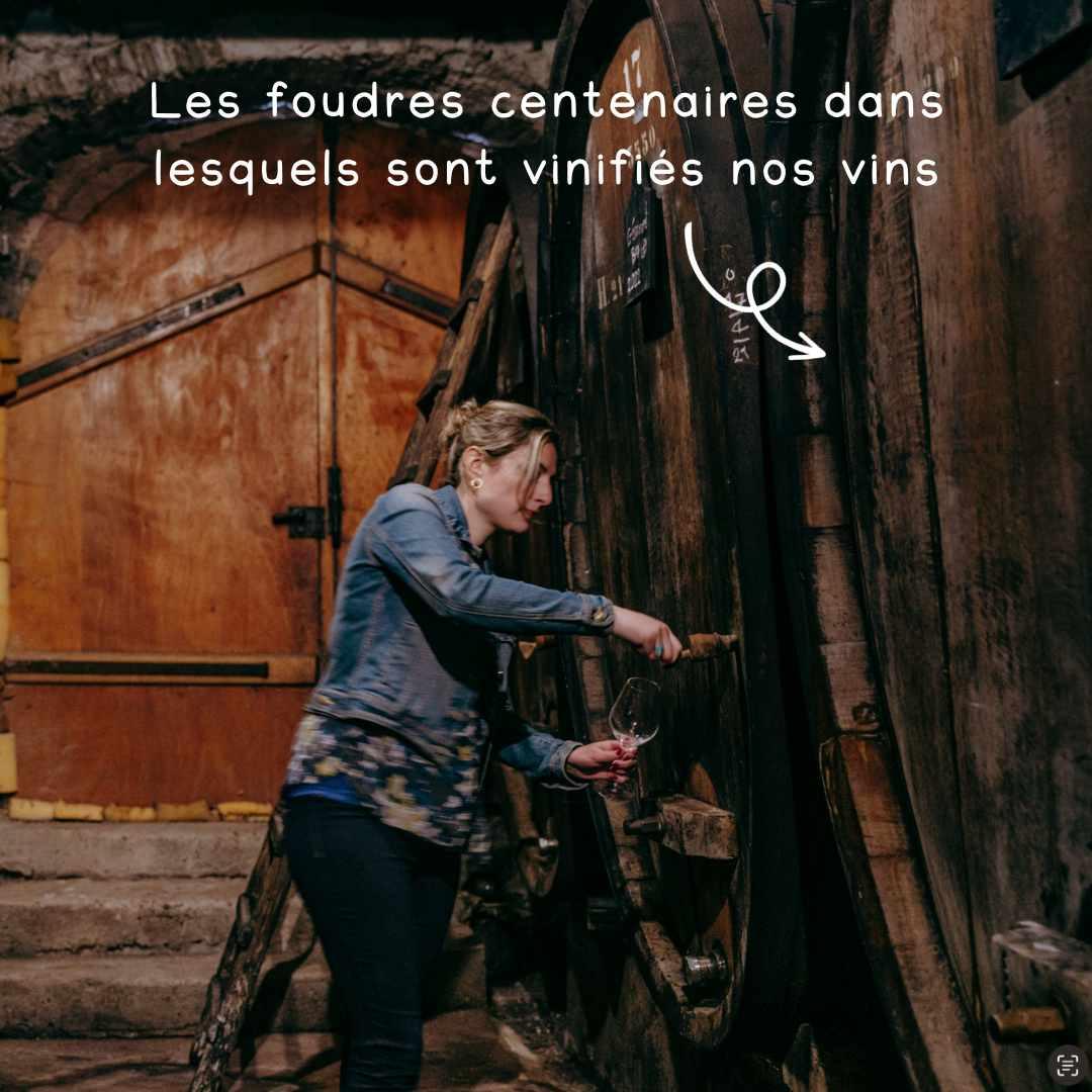 Meet Laure | Vin Orange 2020 - Ekhi