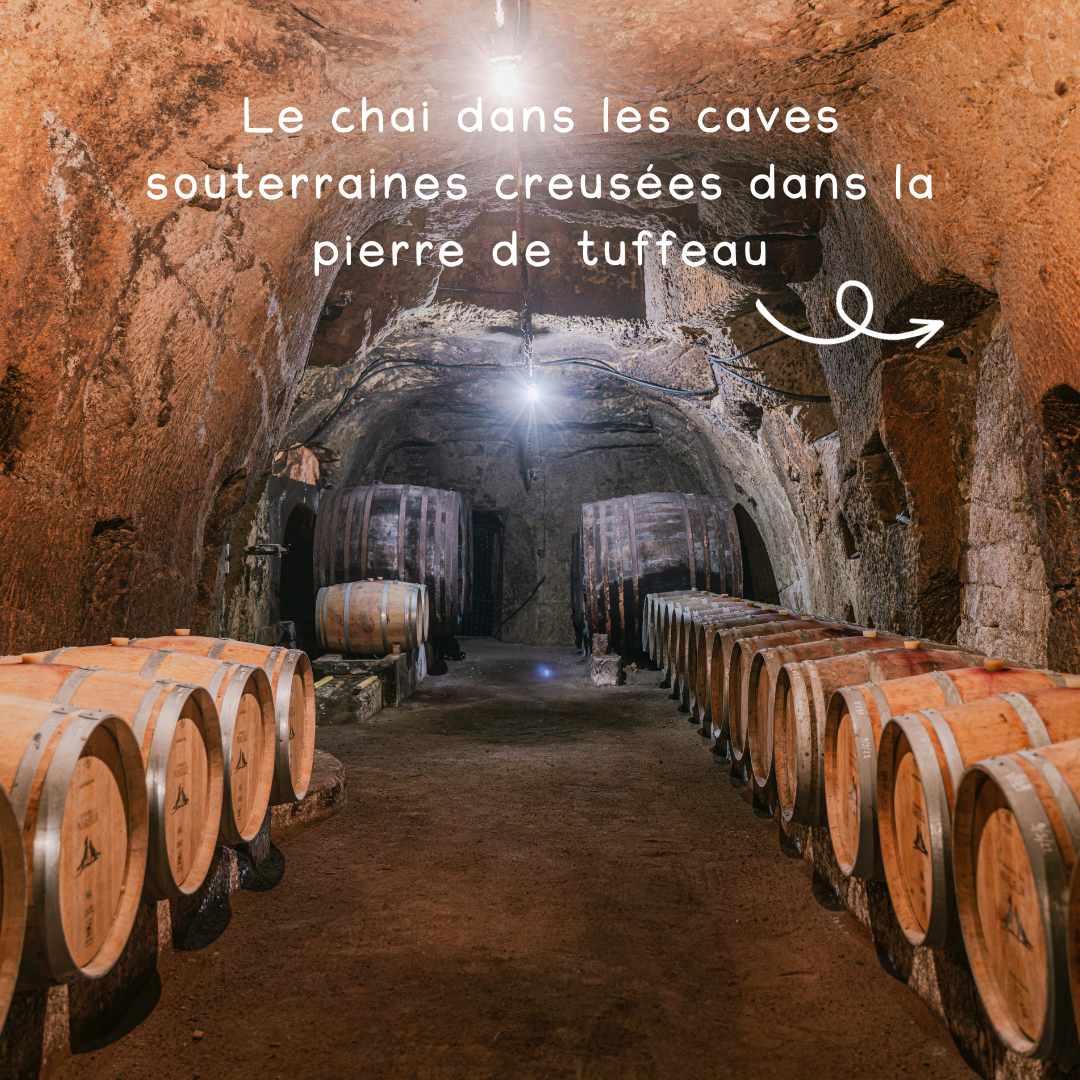 Meet Amélie | Saumur Blanc 2022 - Ekhi