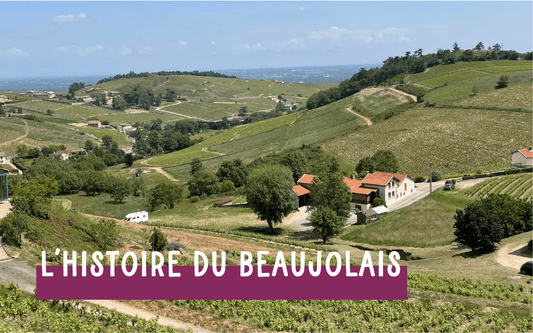 Beaujolais Nouveau : date, histoire, terroir - tout ce qu’il faut savoir - Ekhi