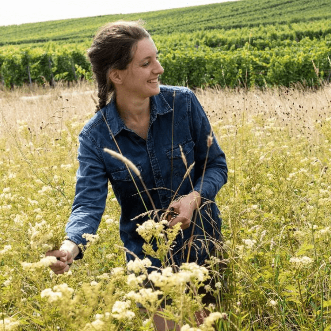 Marine | Riesling 2023 - Ekhi