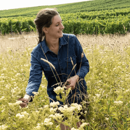 Marine | Riesling 2023 - Ekhi