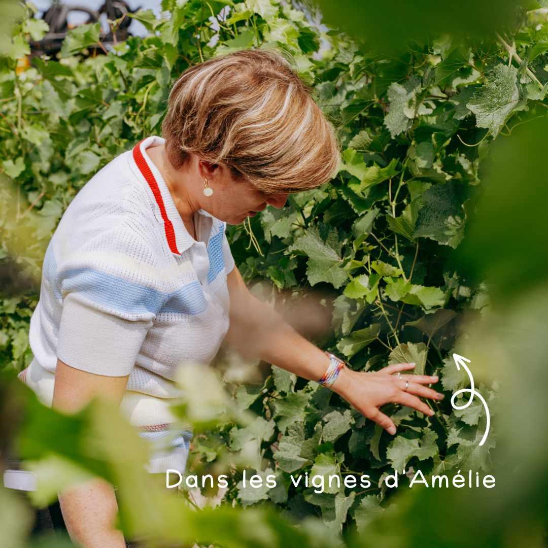Meet Amélie | Saumur Blanc 2022 - Ekhi